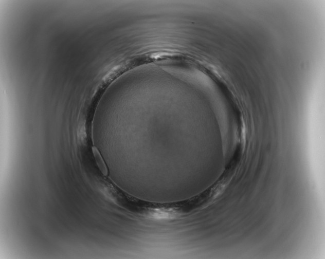 X0000085770508200703161146