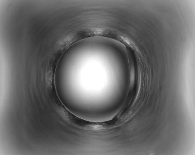 X0000085770509200703161146