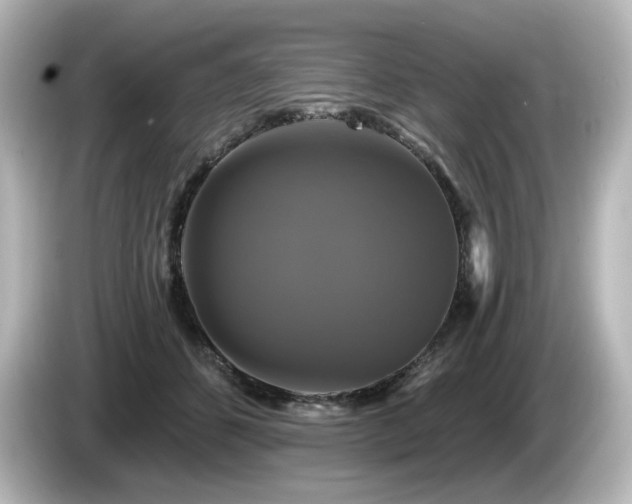 X0000085770512200703161146