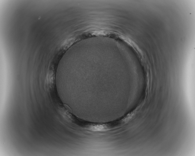 X0000085770513200703161146