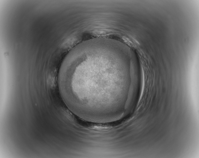 X0000085770515200703161146