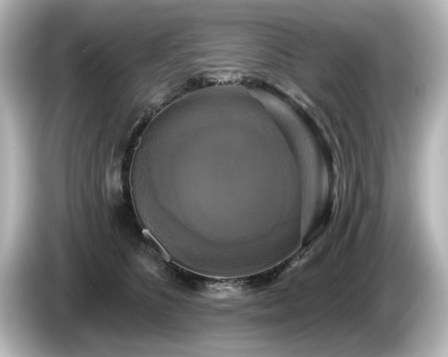 X0000085770516200703161146