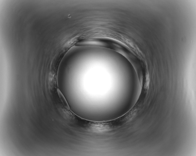 X0000085770521200703161146