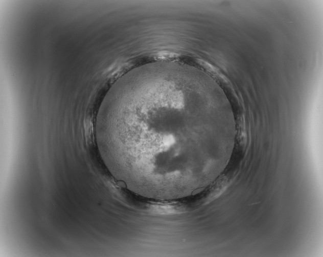 X0000085770523200703161146