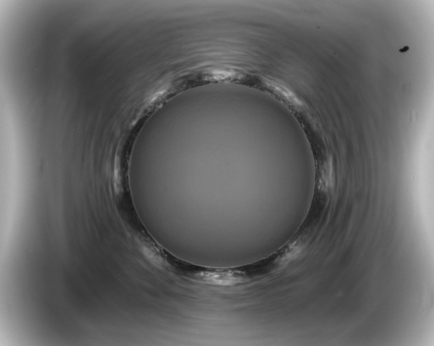 X0000085770524200703161146