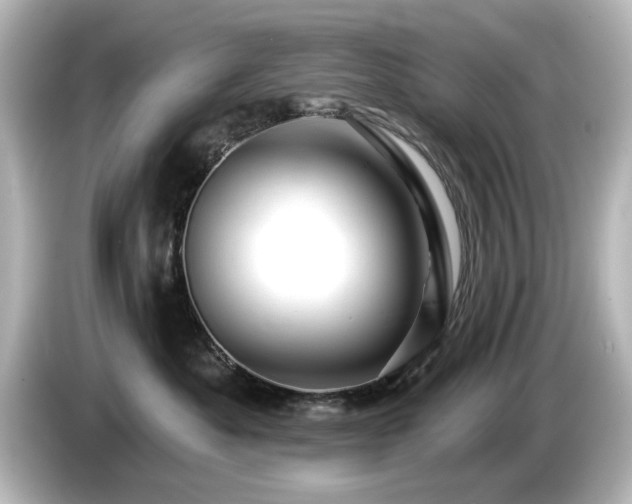 X0000085770525200703161146