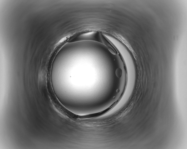 X0000085770530200703161145