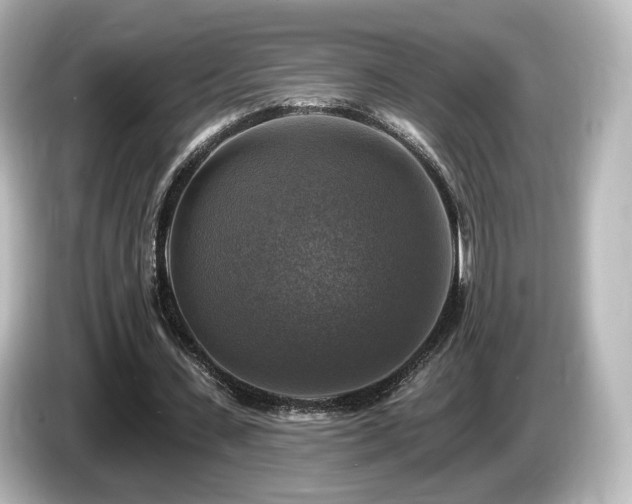 X0000085770531200703161145