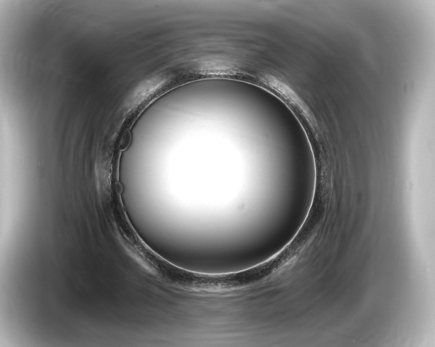 X0000085770533200703161145