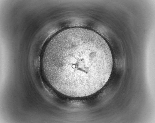 X0000085770534200703161145