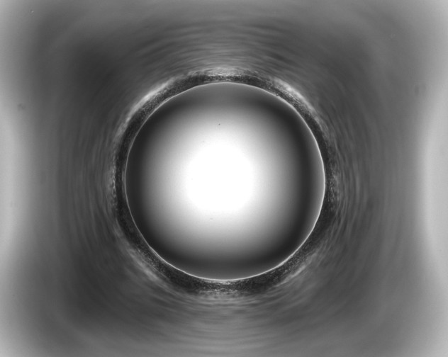 X0000085770535200703161145