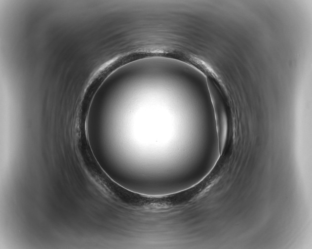 X0000085770536200703161145