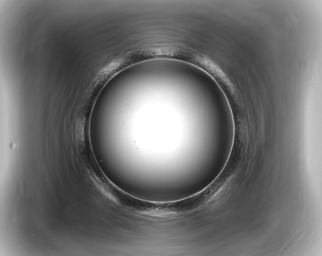 X0000085770537200703161145