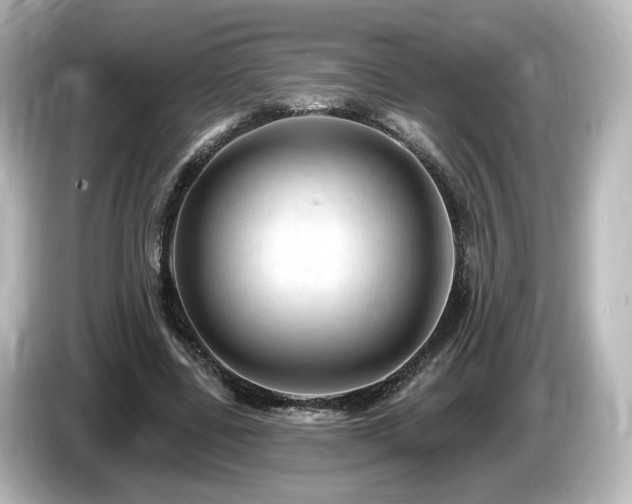 X0000085770539200703161145