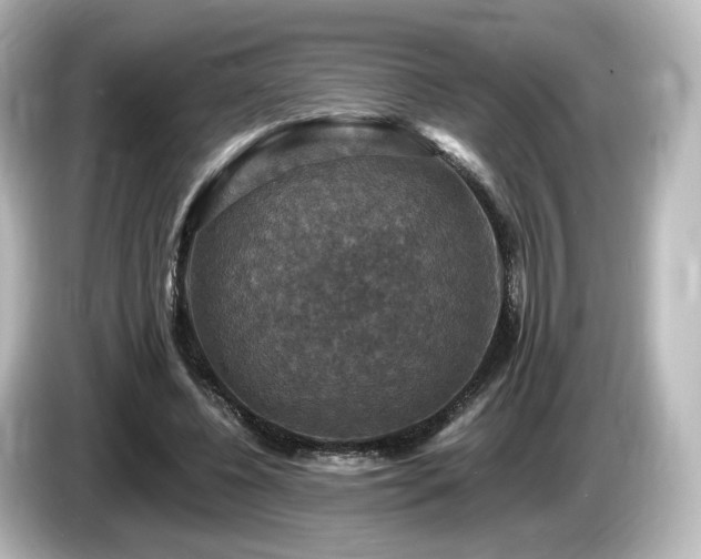 X0000085770540200703161145