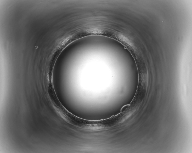 X0000085770541200703161145