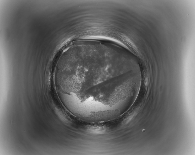 X0000085770542200703161145