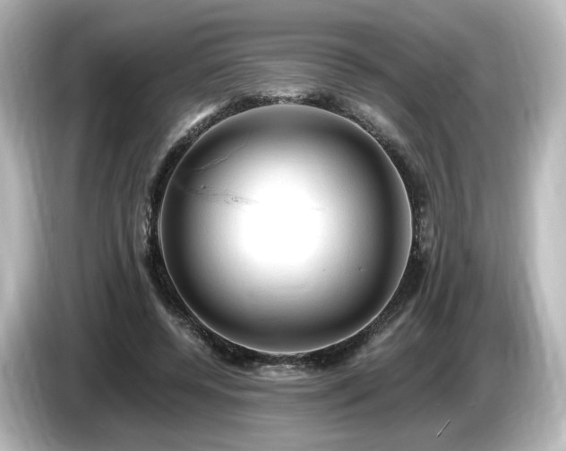 X0000085770544200703161145