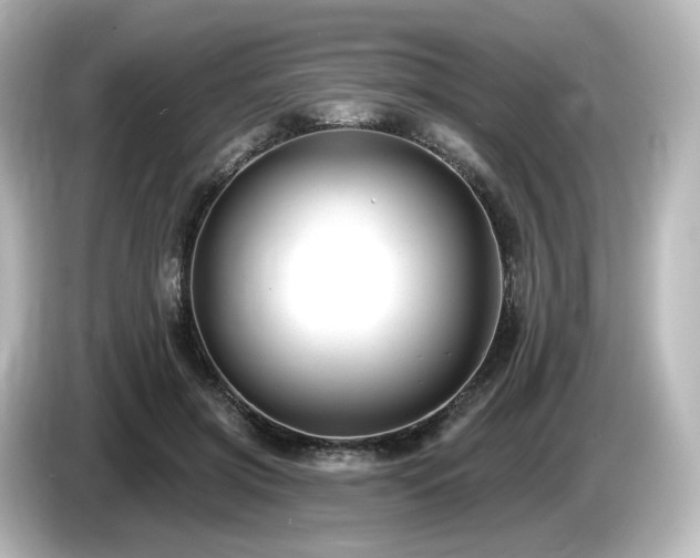 X0000085770549200703161145