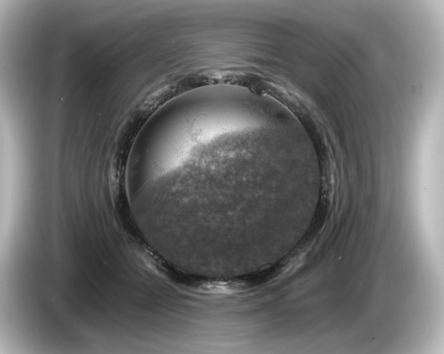 X0000085770558200703161145