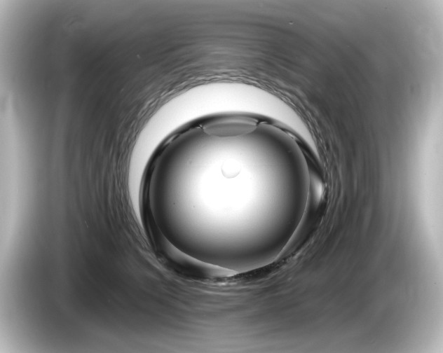 X0000085770564200703161145