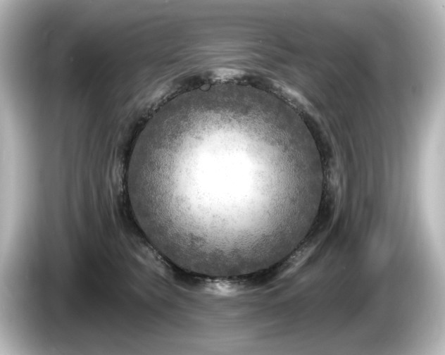 X0000085770565200703161145