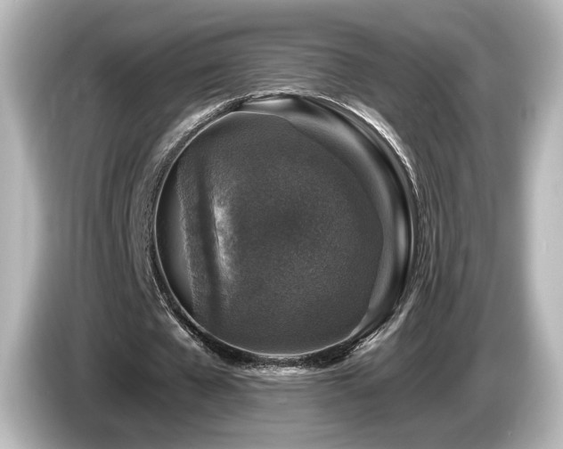 X0000085770577200703161145