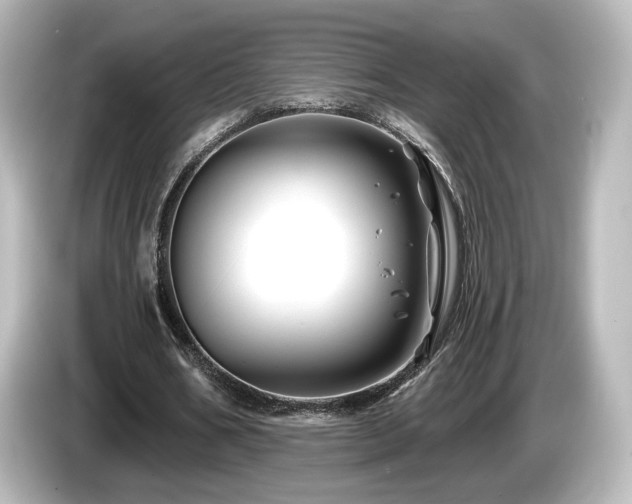 X0000085770578200703161145