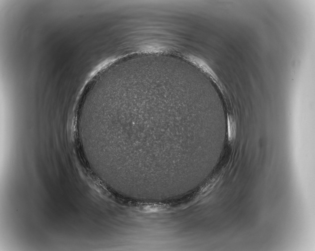 X0000085770579200703161145