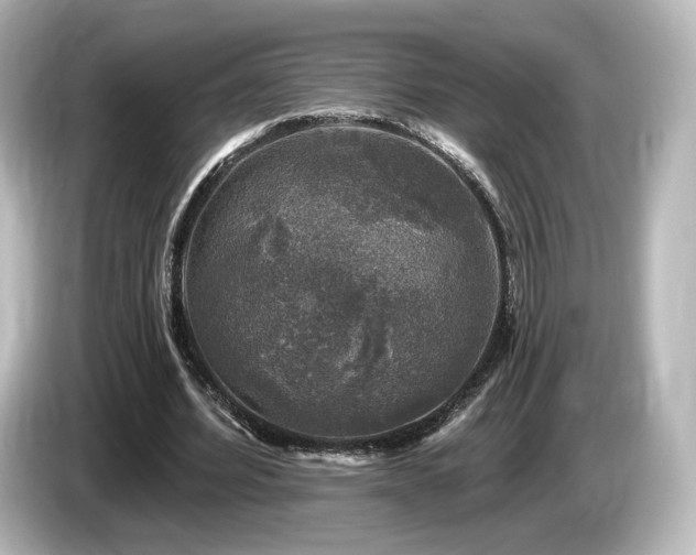 X0000085770580200703161145