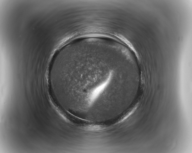 X0000085770581200703161145