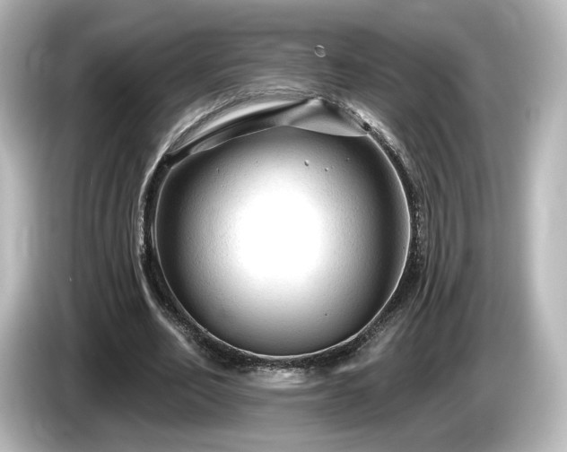 X0000085770582200703161145