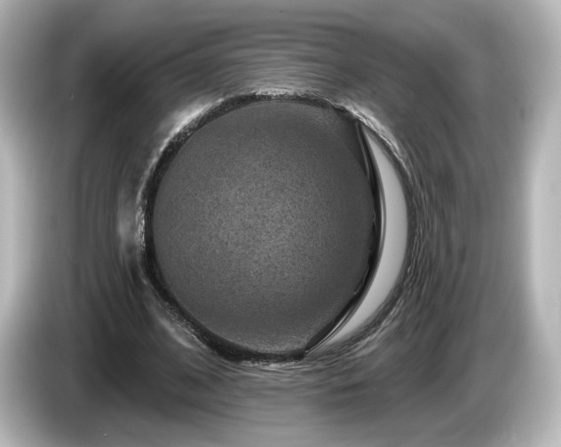 X0000085770584200703161145