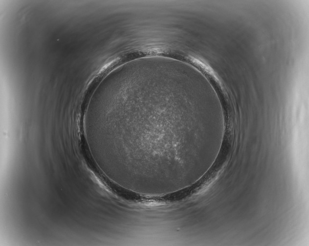 X0000085770585200703161145