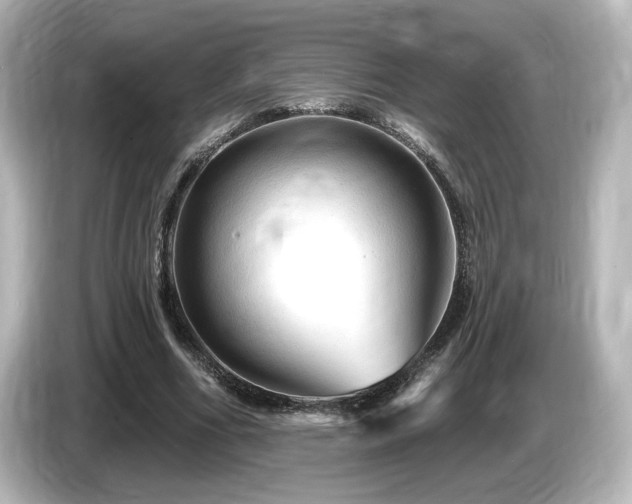 X0000085770586200703161145