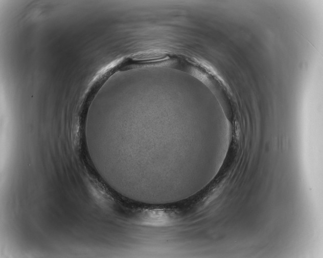 X0000085770588200703161145