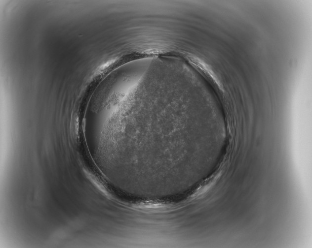 X0000085770589200703161145