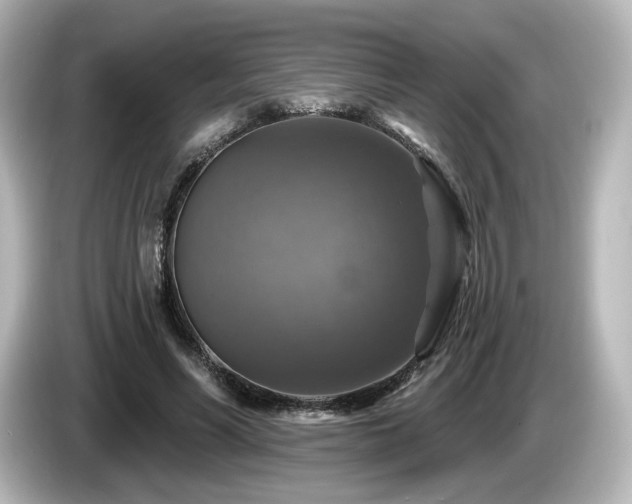 X0000085770590200703161145