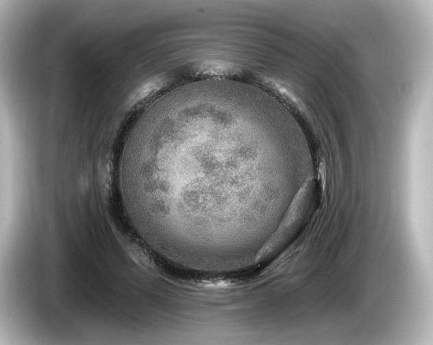 X0000085770591200703161145