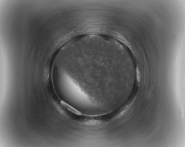 X0000085770593200703161145