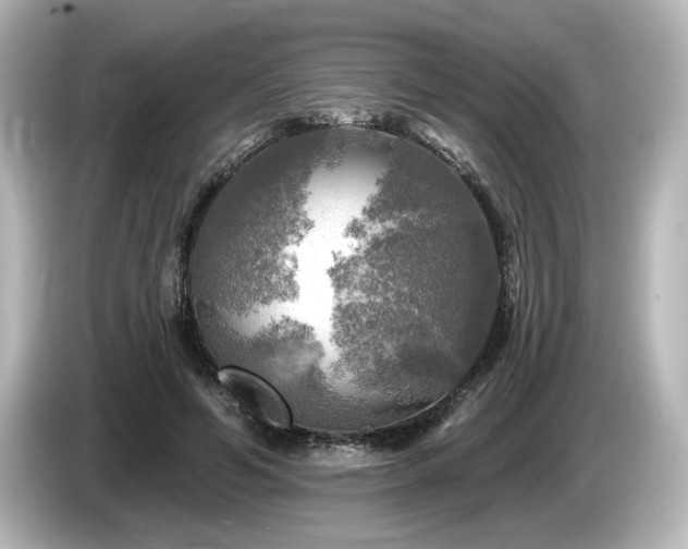 X0000085770594200703161145