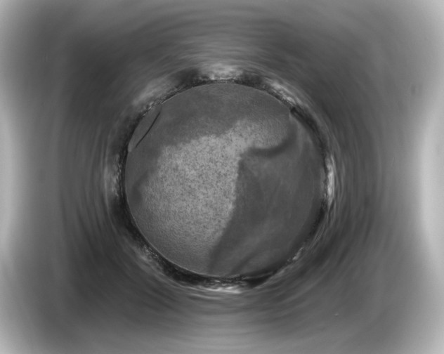 X0000085770604200703161144