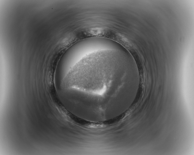 X0000085770606200703161144