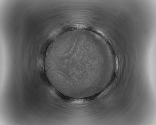 X0000085770609200703161144