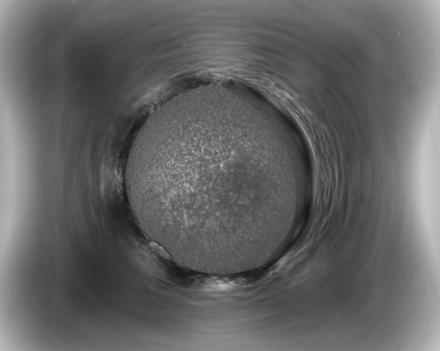 X0000085770613200703161144