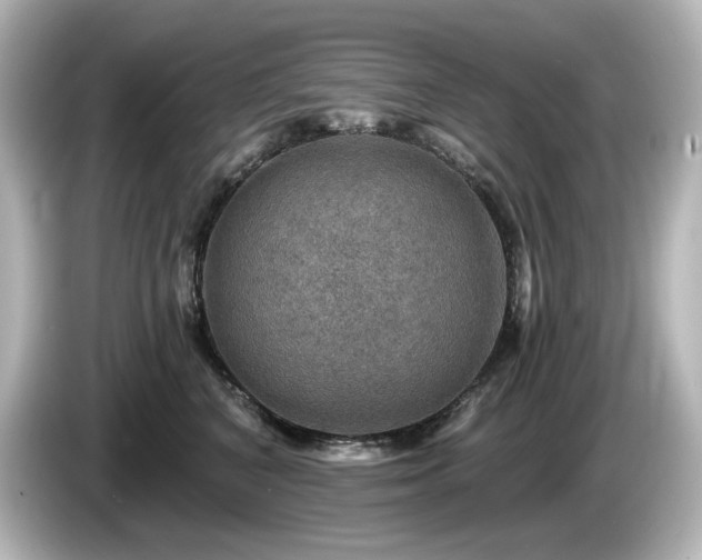 X0000085770616200703161144