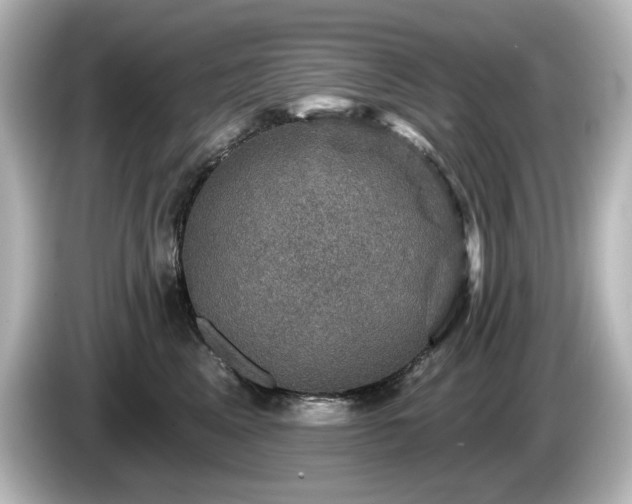 X0000085770617200703161144