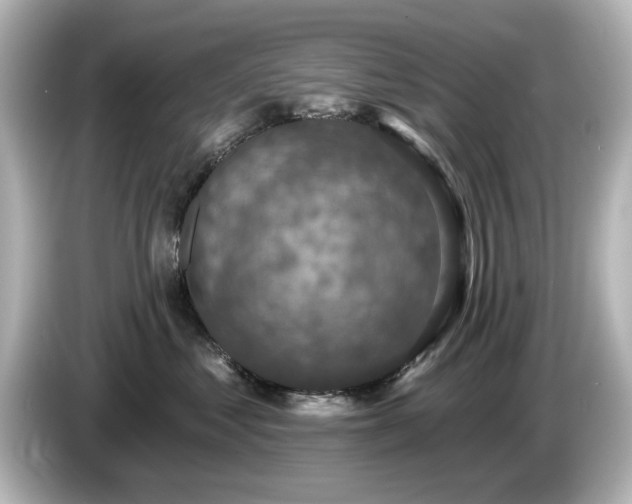 X0000085770621200703161144