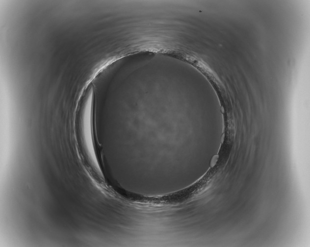 X0000085770626200703161143