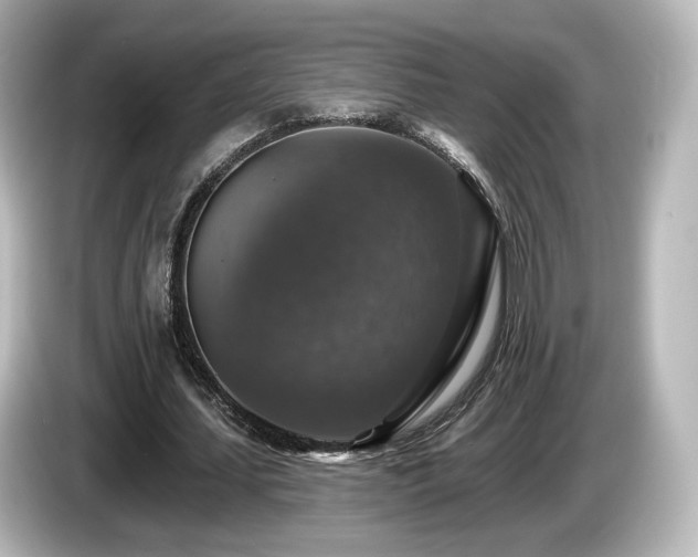 X0000085770627200703161143